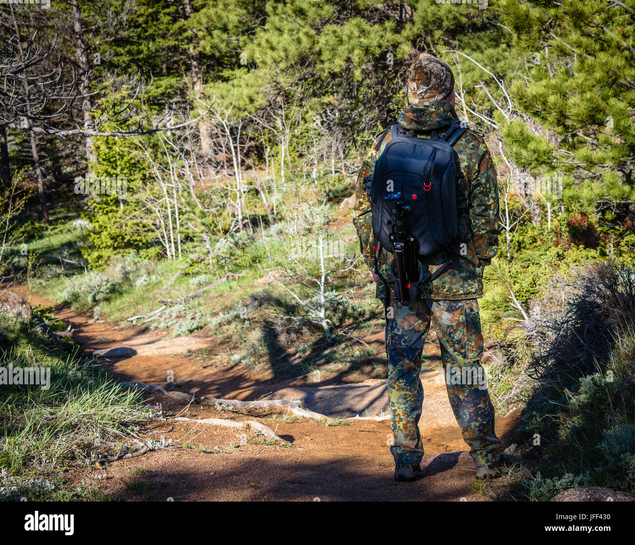 Hiker man photographer in camouflage outfit with a backpack and tripod standing on a mountain forest trail and watching wildlife, rear view Stock Photo