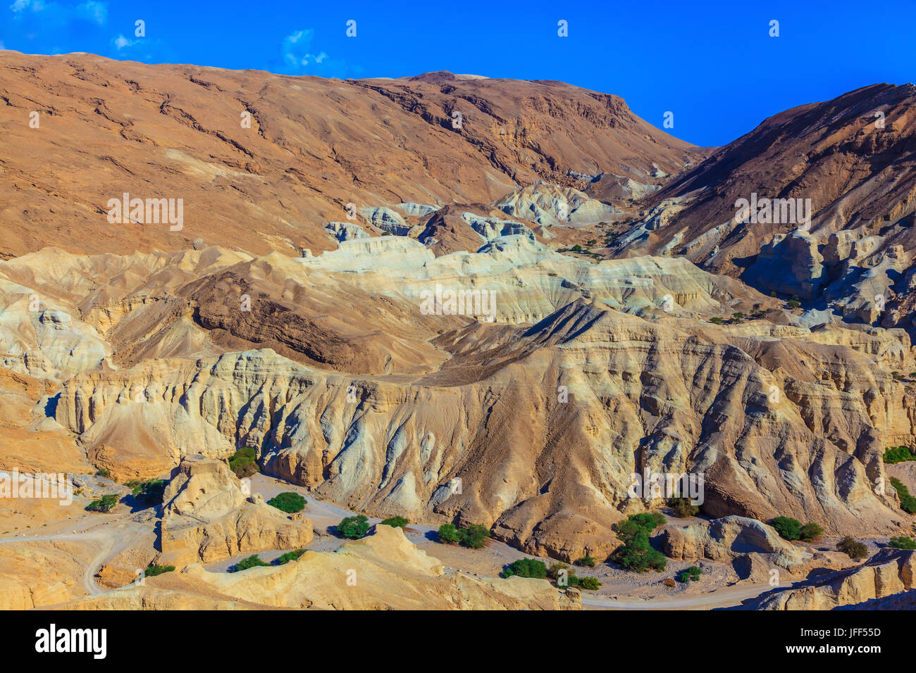 Ancient climate hi-res stock photography and images - Alamy