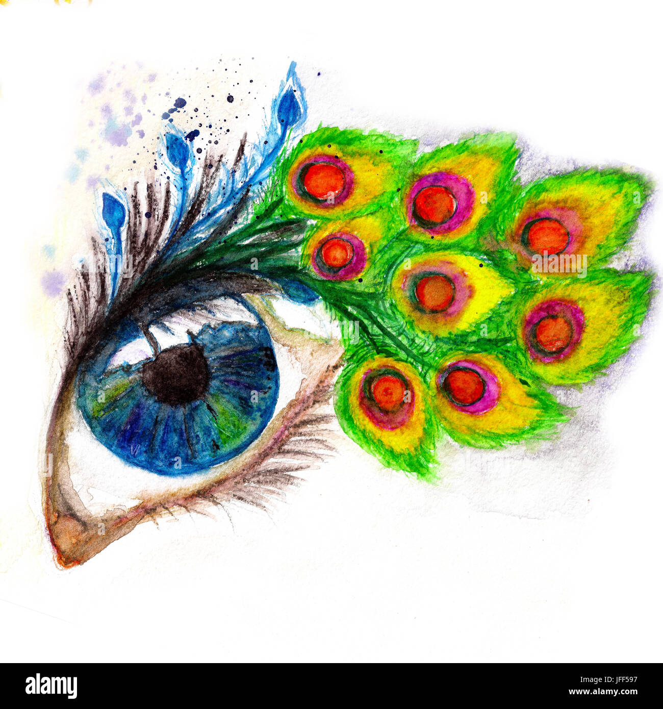 Peacock feather eyelashes Stock Photo Alamy