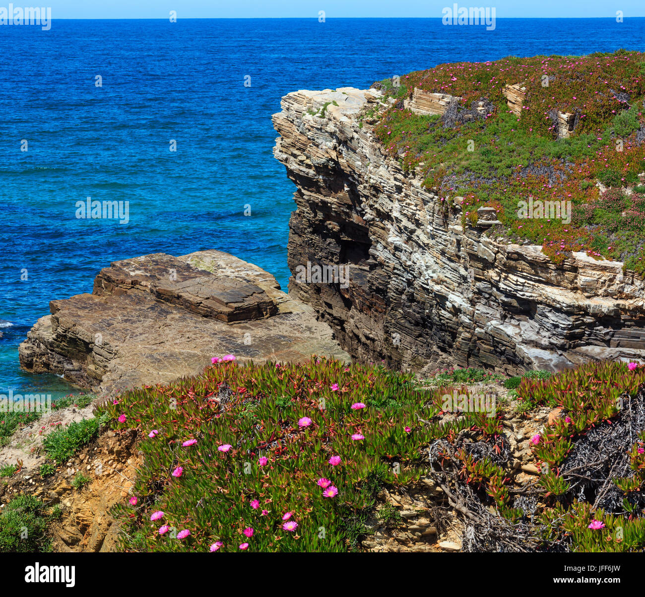 Summer blossoming Atlantic coast (Galicia). Stock Photo