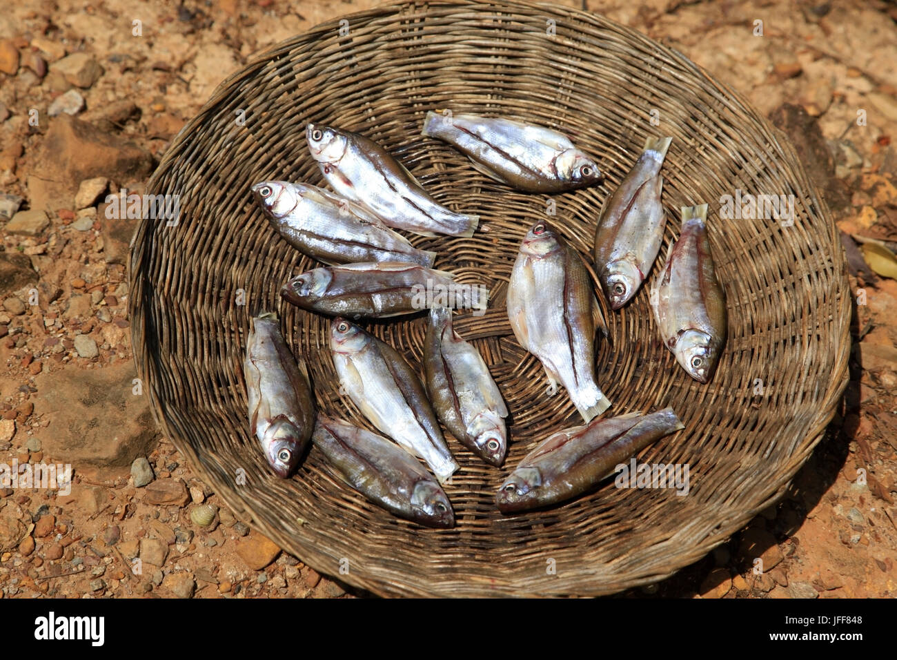 Cooking of fish Stock Photo - Alamy