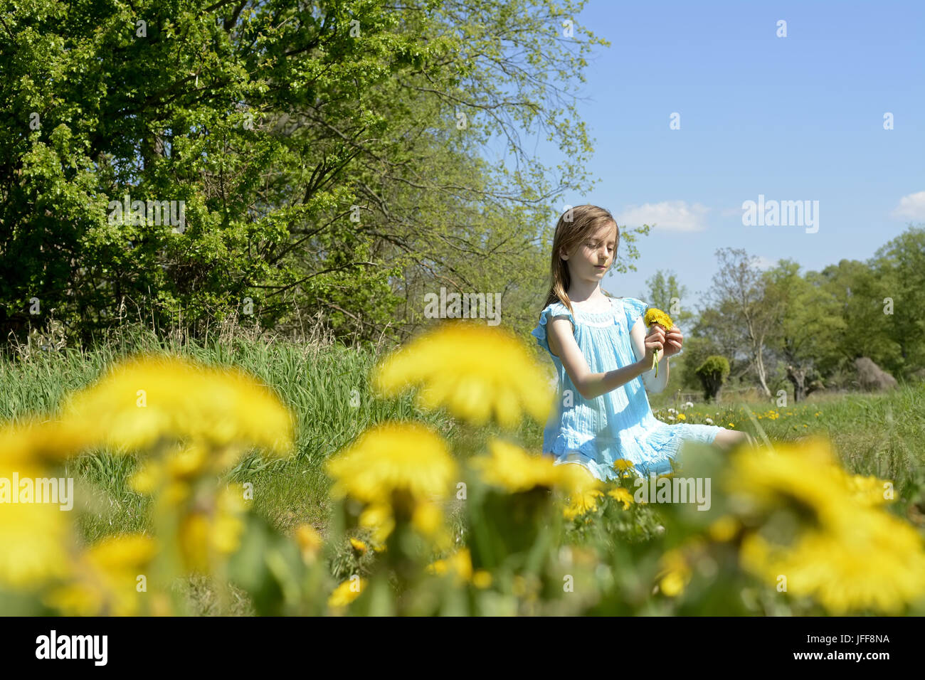 blond little girl with dandelions Stock Photo - Alamy