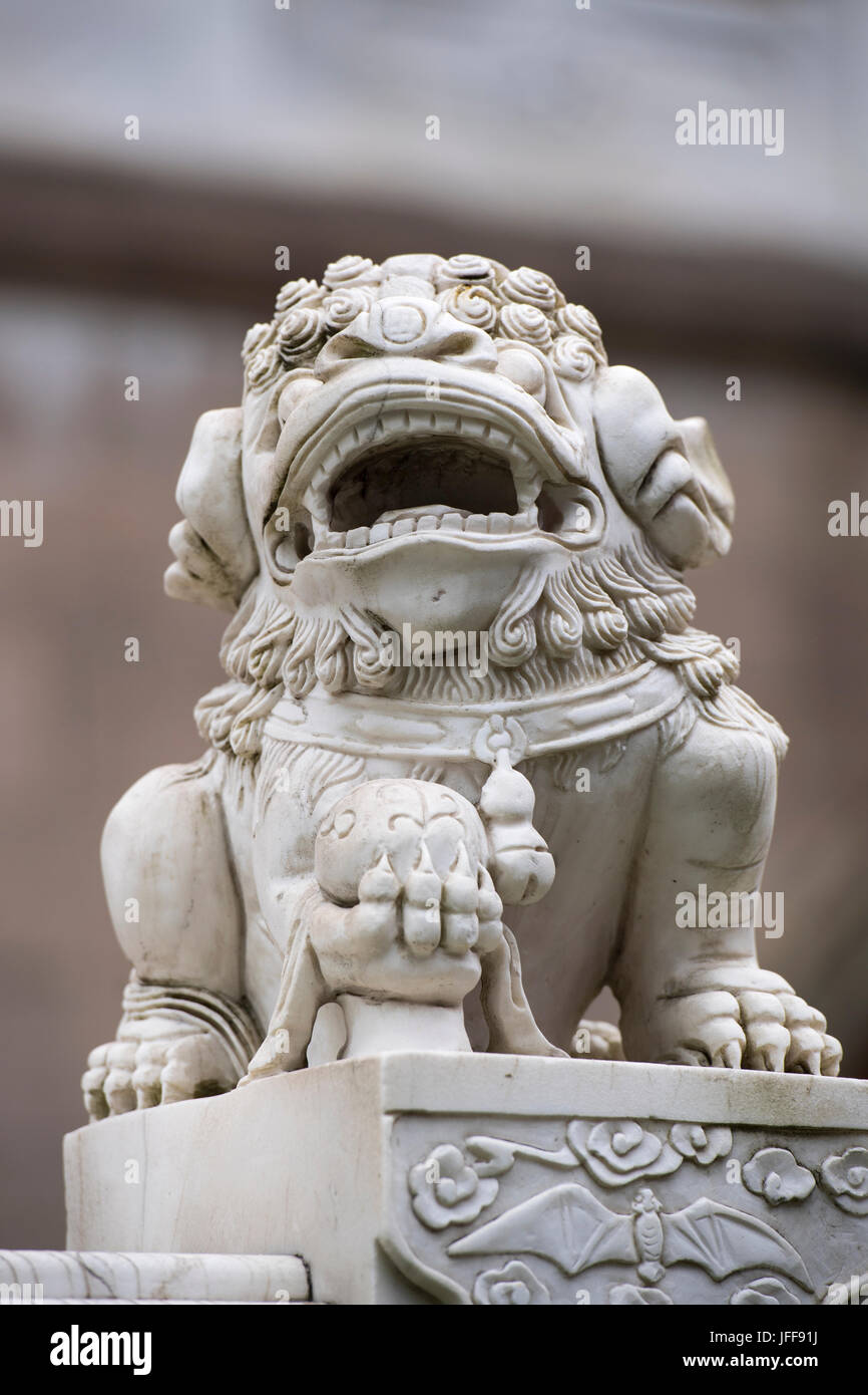 China shanghai dragon hi-res stock photography and images - Alamy