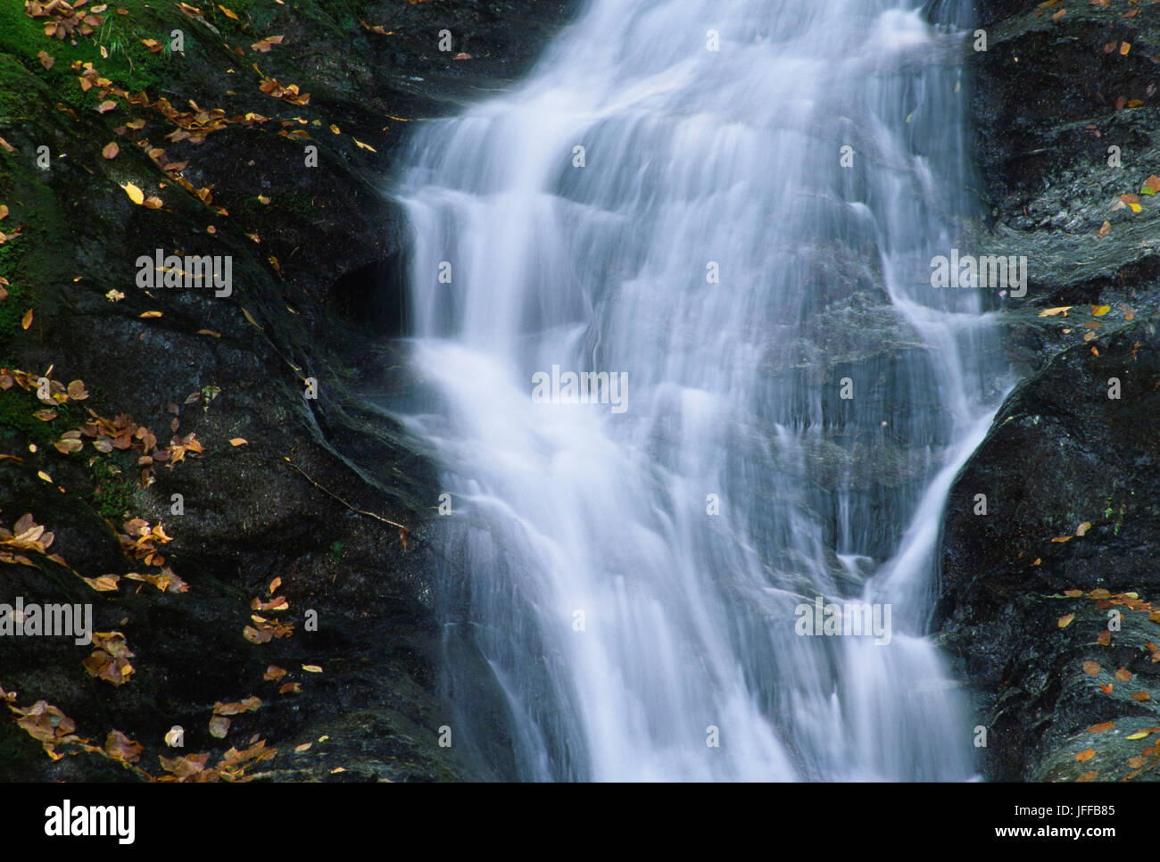 Tannery Falls, Savoy Mountain State Forest, Massachusetts Stock Photo