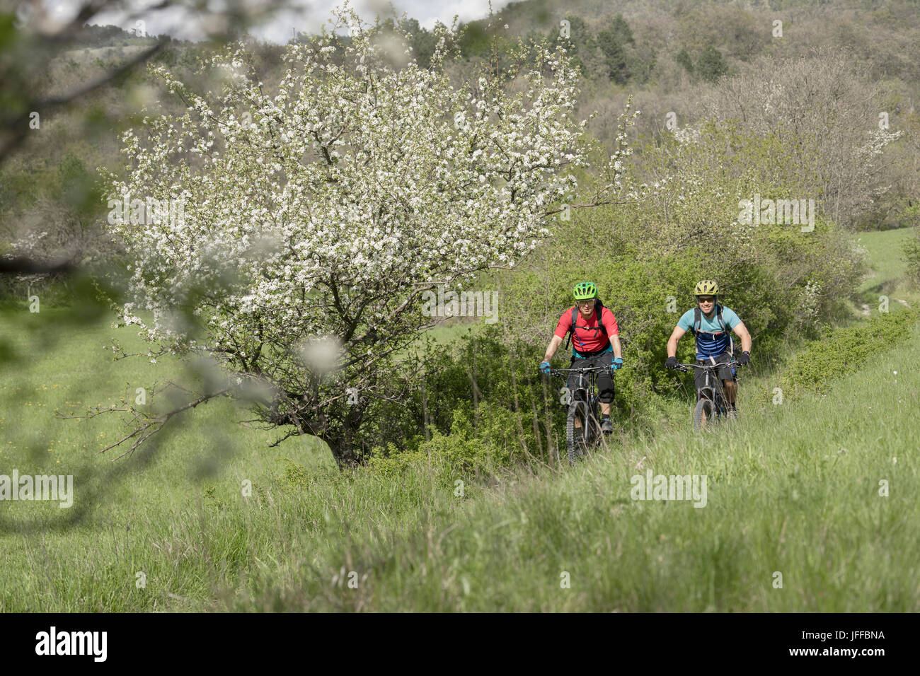 Mountain Biker biking through green grass Stock Photo