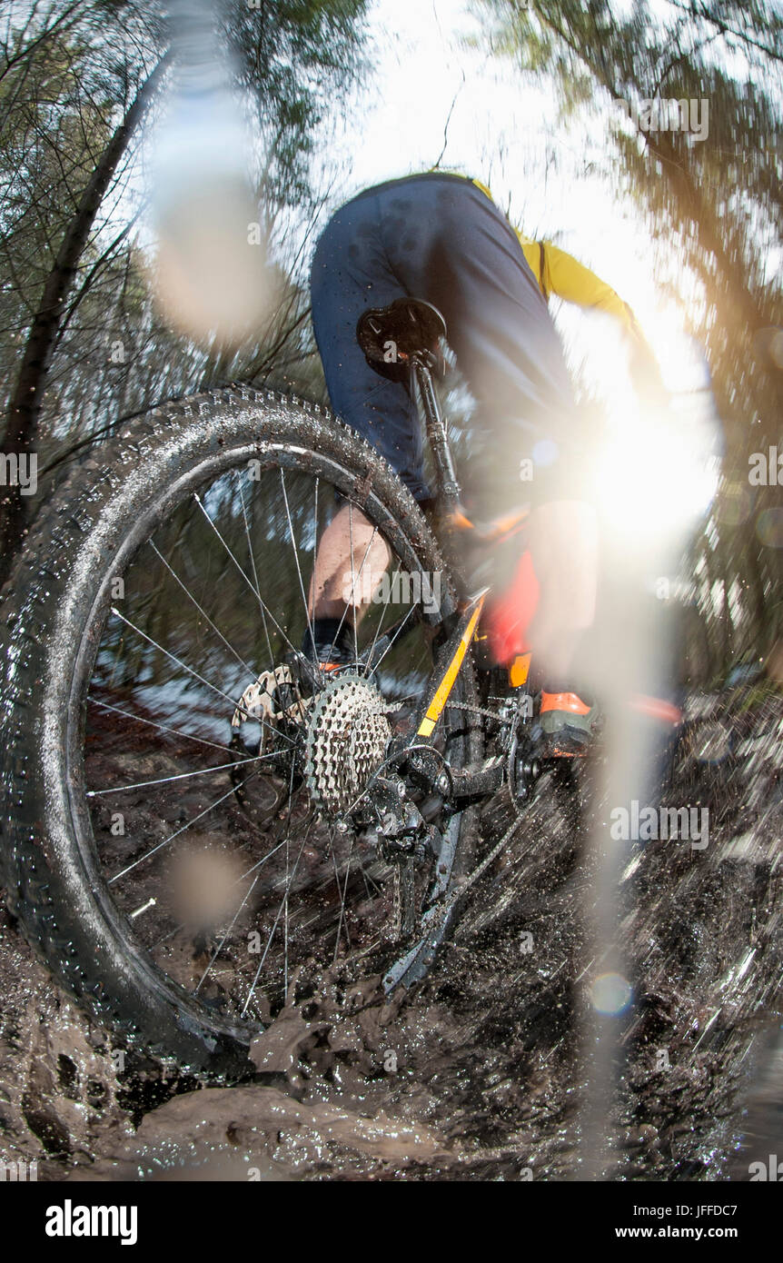 Close-up of biker riding bike through puddle in forest Stock Photo
