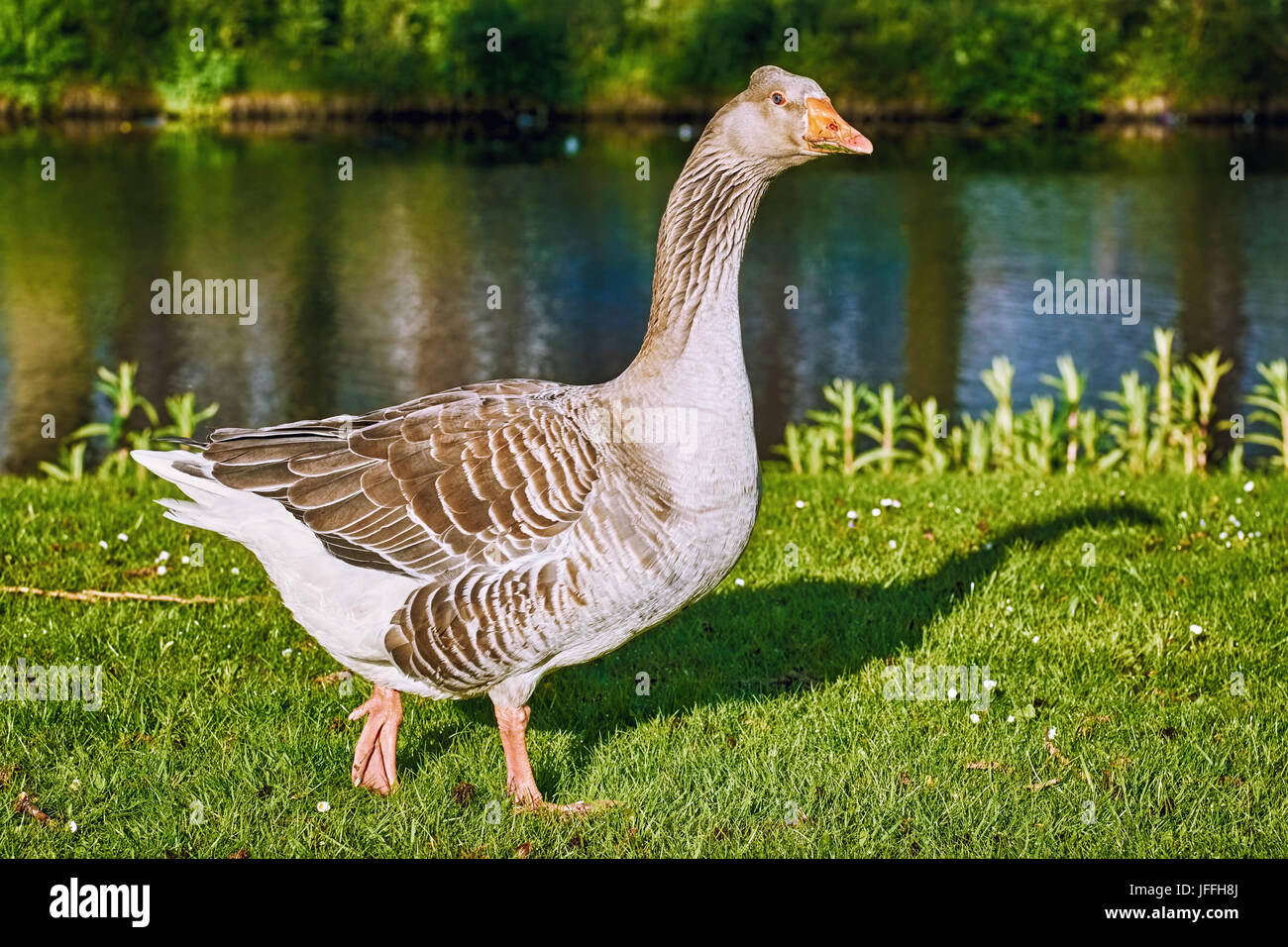 walk-along-the-river-stock-photo-alamy