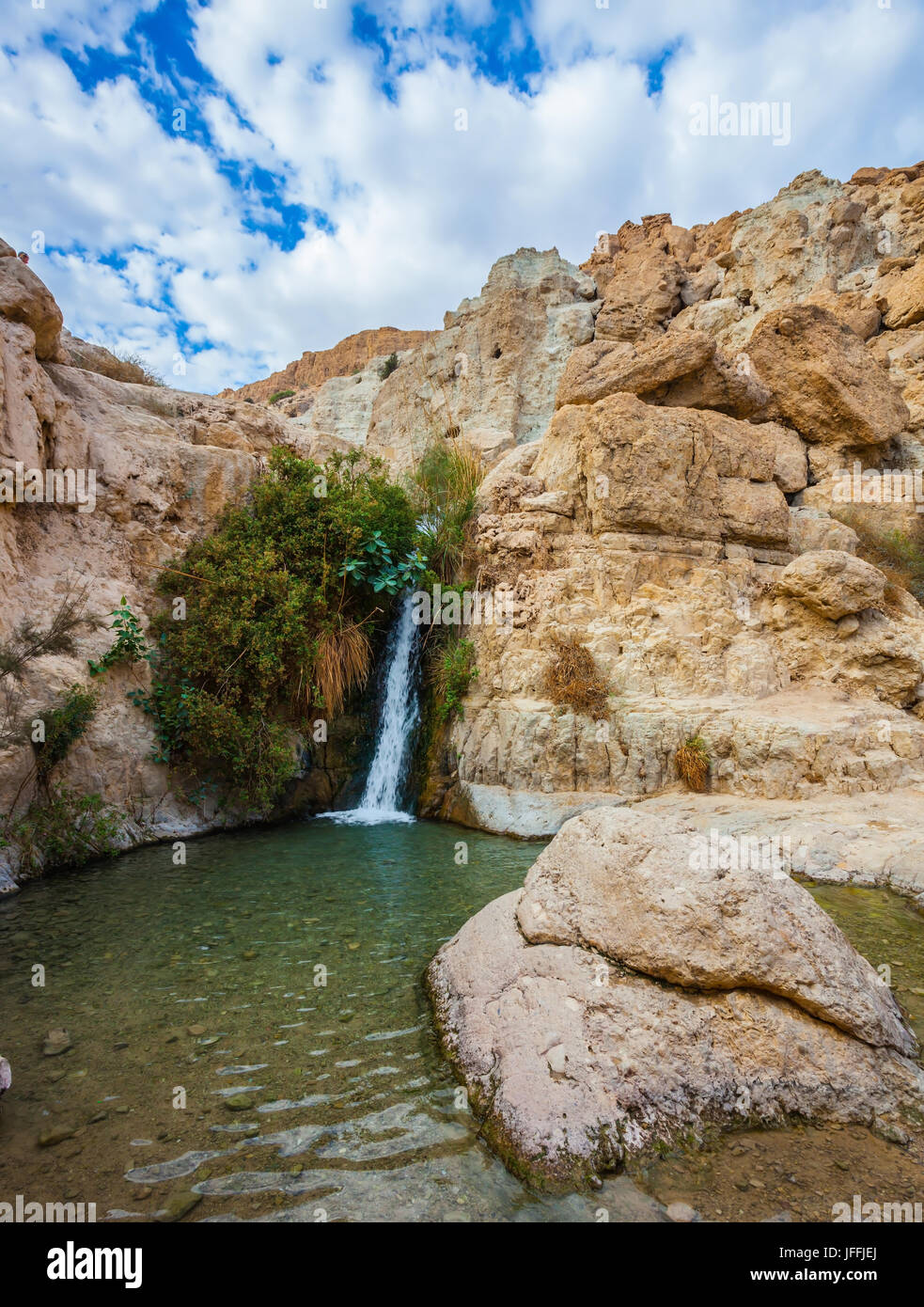The waterfall in reserves Ein Gedi Stock Photo