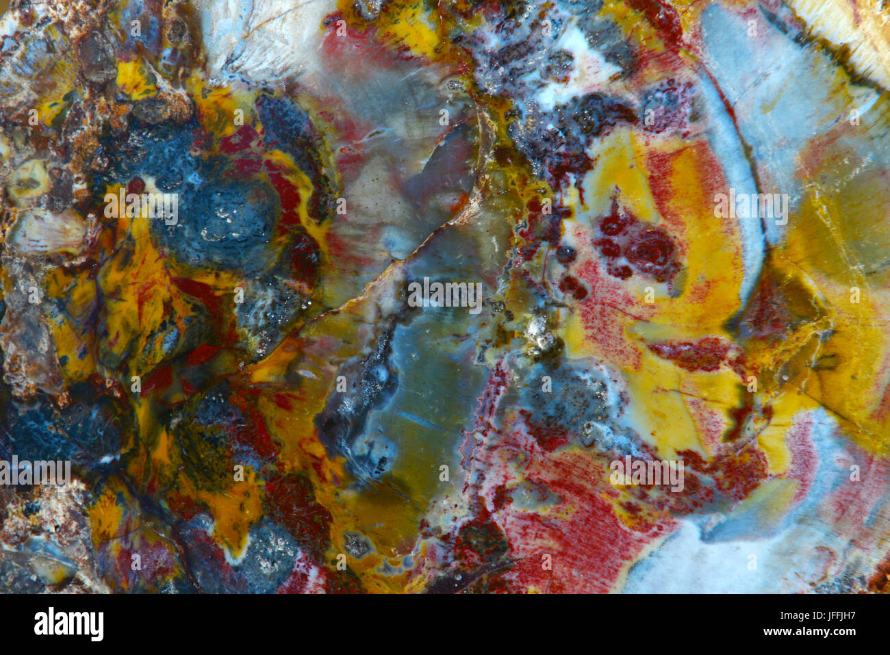 Petrified wood texture Stock Photo - Alamy