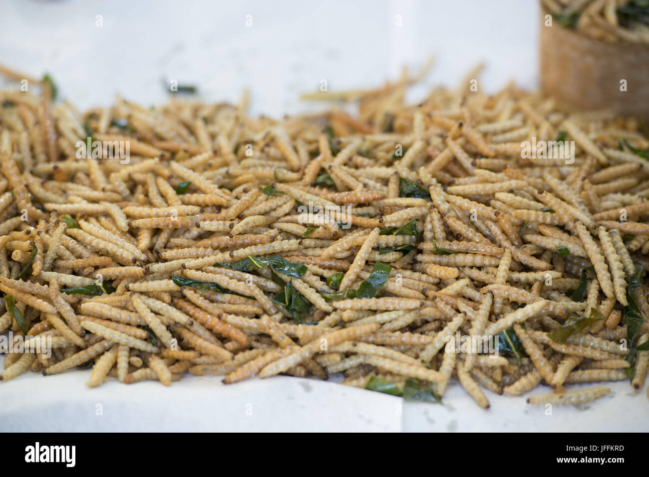 Les insectes comestibles, Chiang Mai, Thaïlande Photo Stock - Alamy