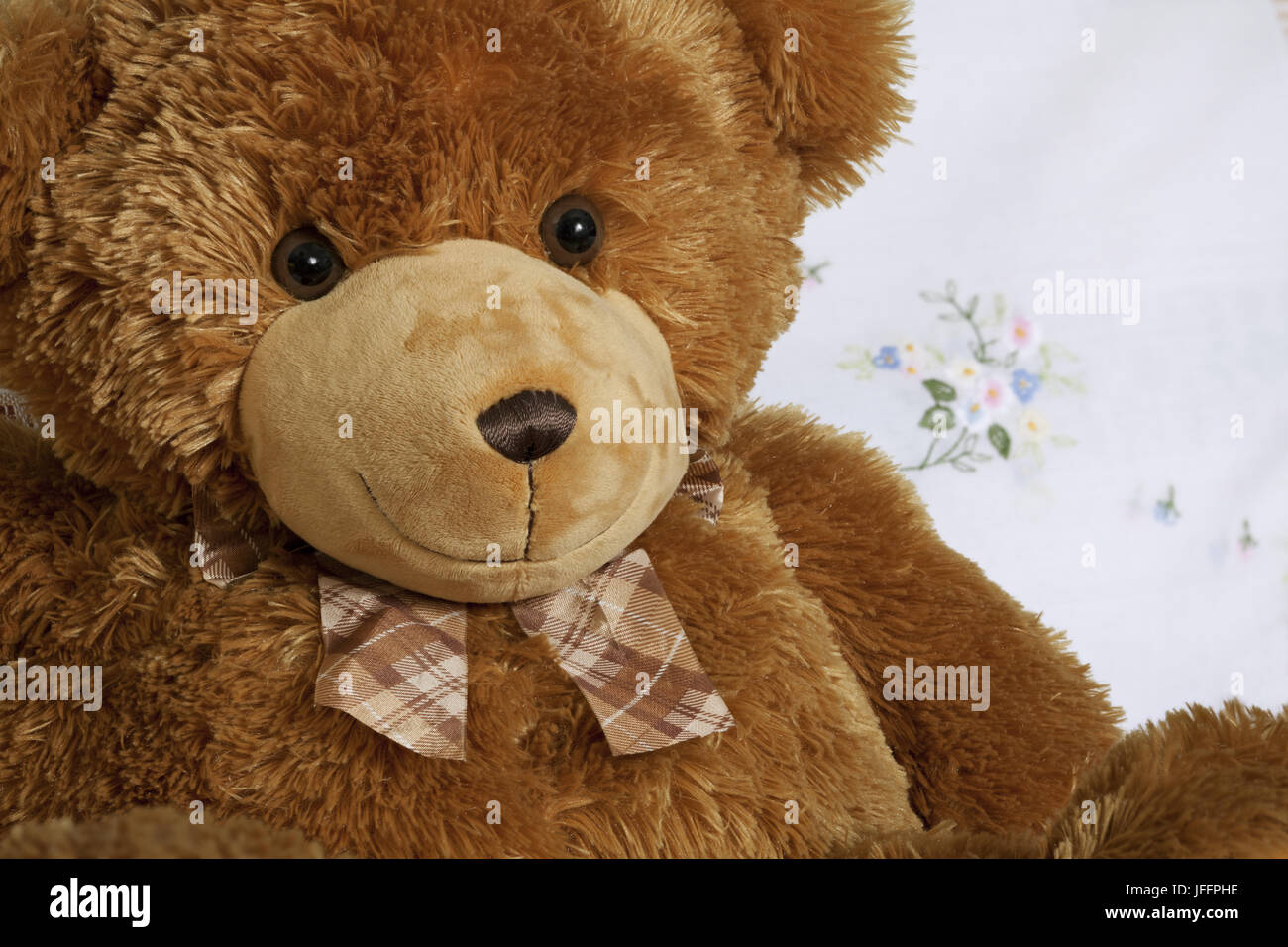 Teddy bear portrait with tie Stock Photo