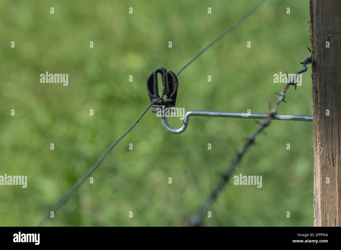 Insulator of an electric fence Stock Photo Alamy