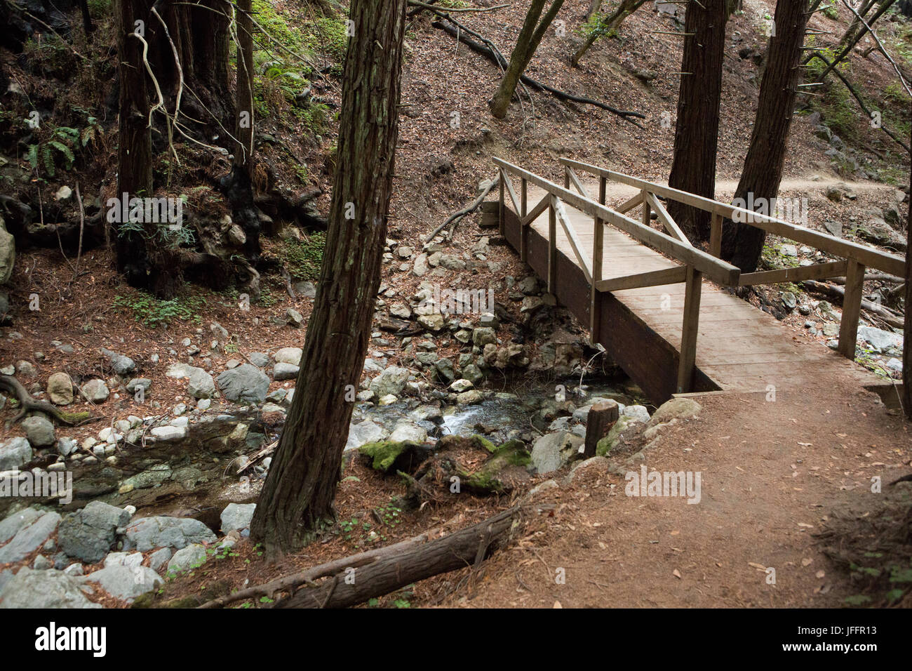 A walking bridge spans a stream on a hiking trail. Stock Photo