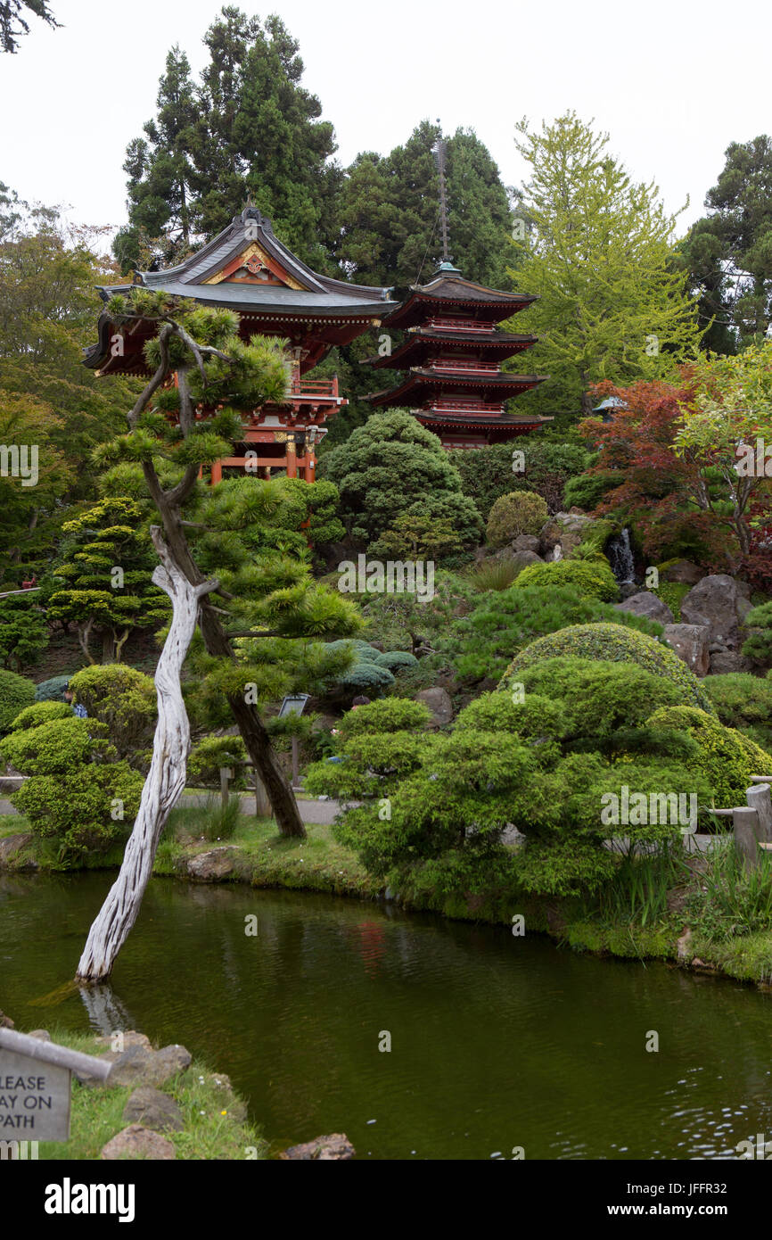 A scenic view of a pagoda, gardens, and a calm pond in the landscaped gardens in San Francisco's Japanese Tea Garden. Stock Photo