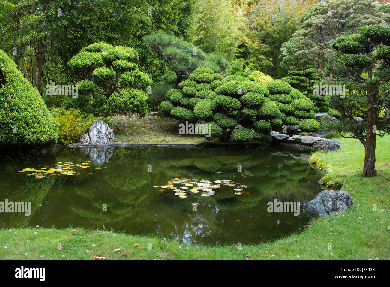 A scenic view of a pond, and artfully sculpted trees in San Francisco's Japanese Tea Garden. Stock Photo