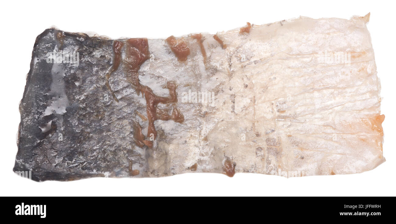 fish skin isolated Stock Photo Alamy