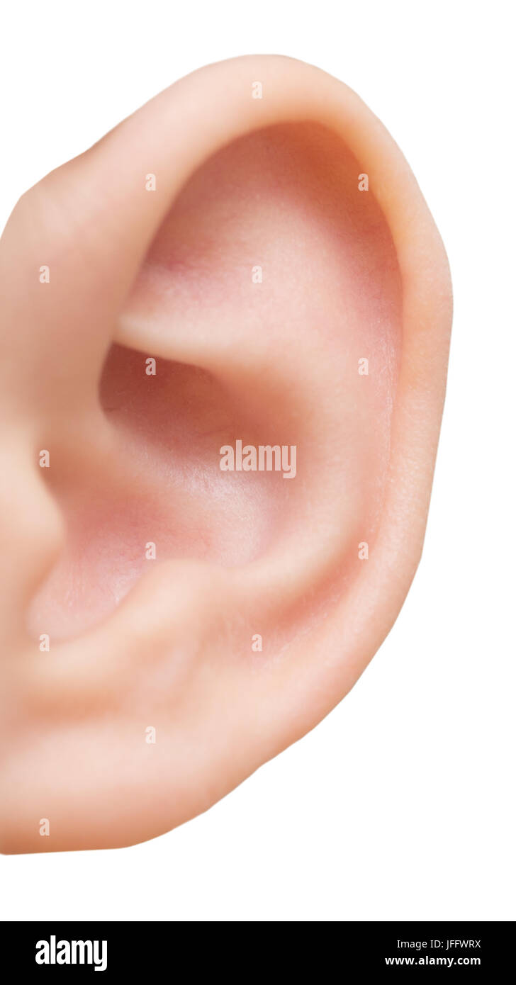 Human ear hires stock photography and images Alamy