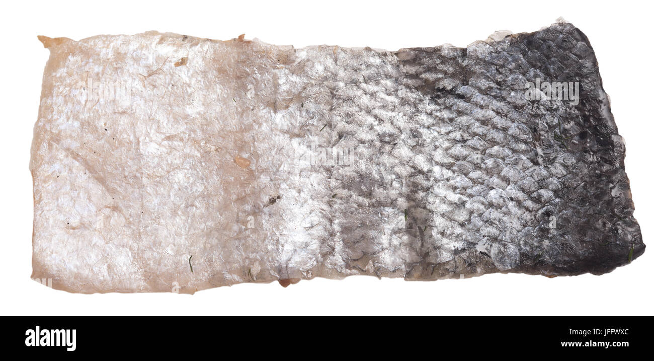 fish skin isolated Stock Photo Alamy