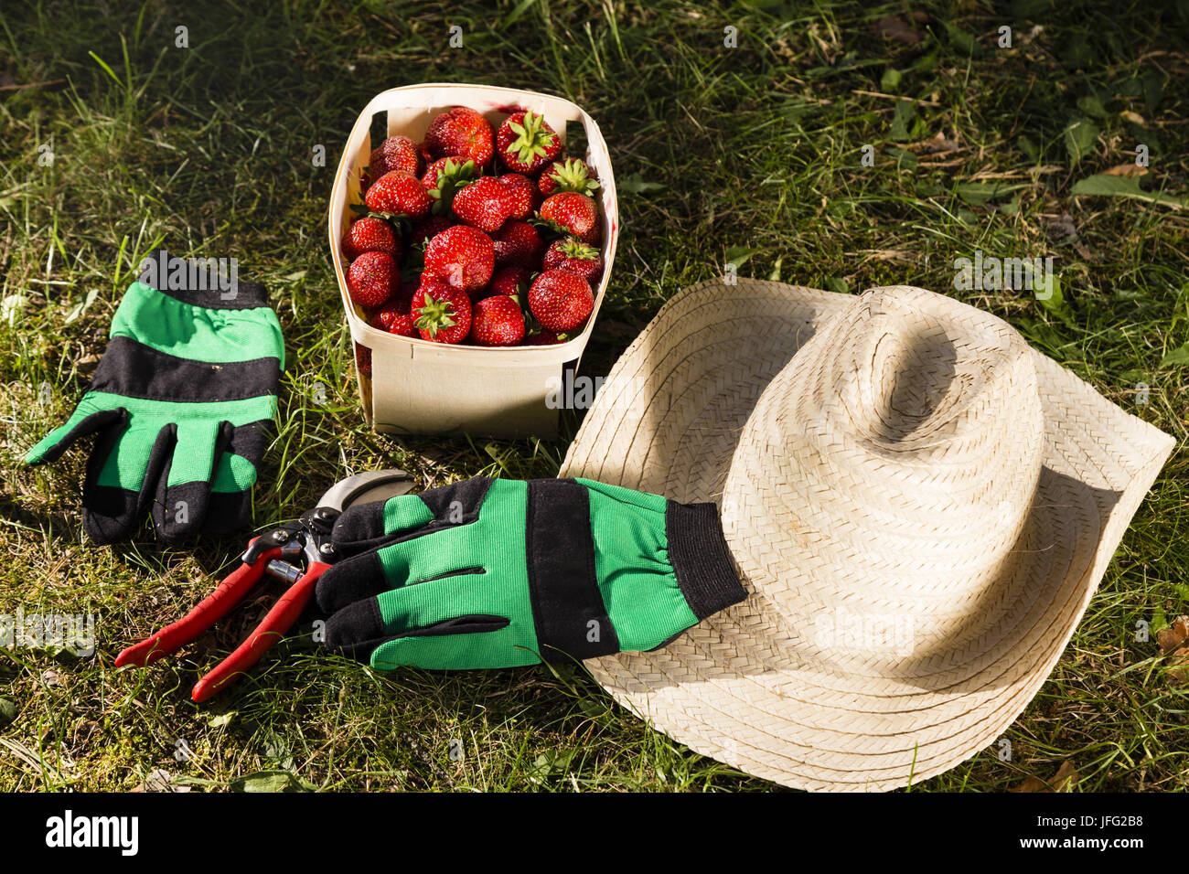 still life in a garden with strawberries Stock Photo - Alamy