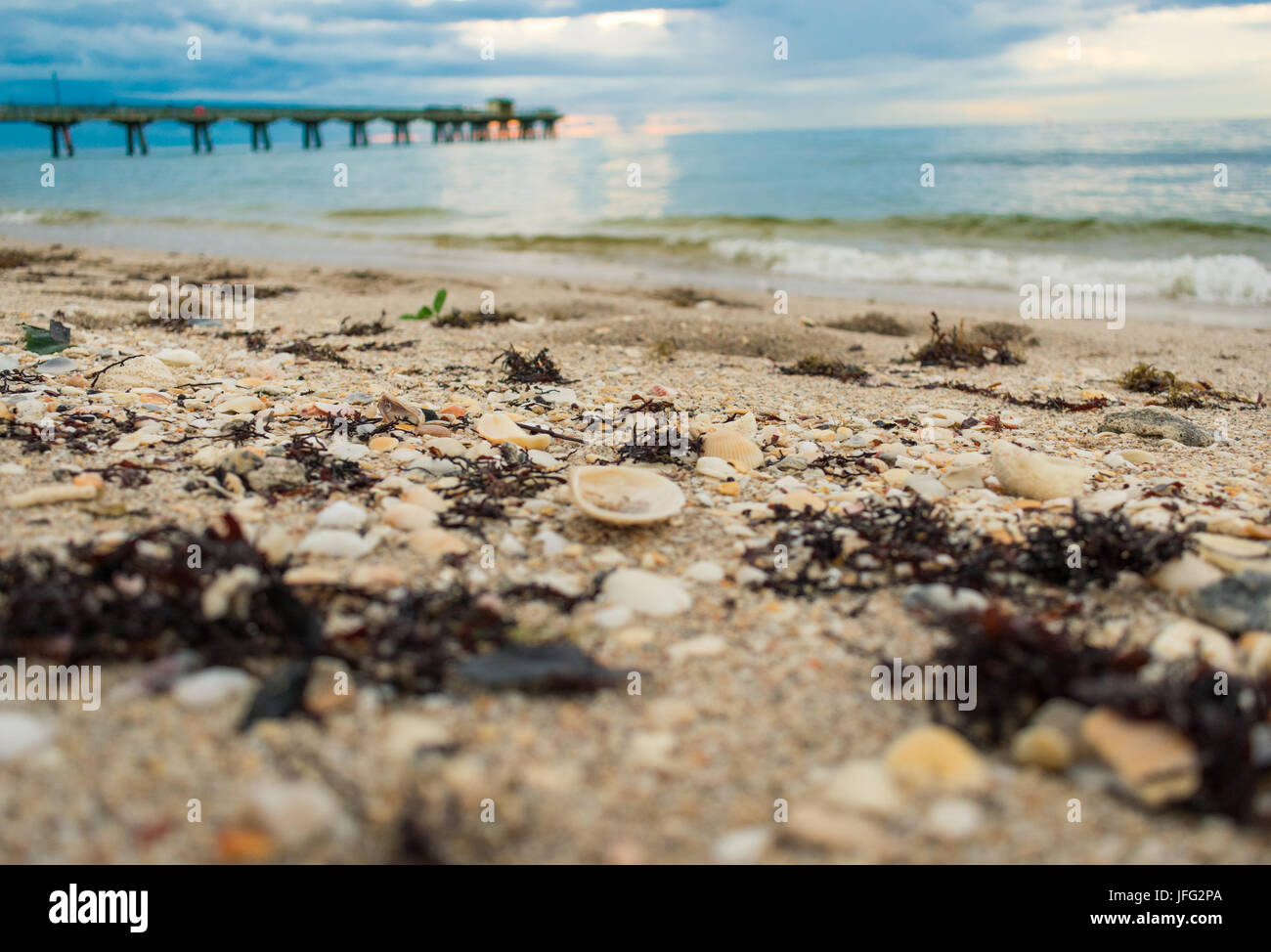 Sunrise on beach shells hi-res stock photography and images - Alamy