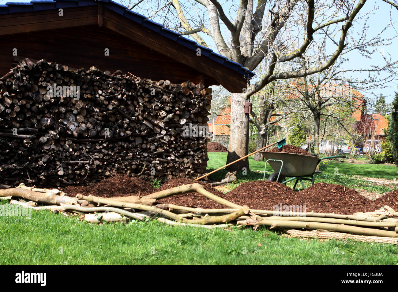 bark mulch tree pit under a walnut tree Stock Photo Alamy