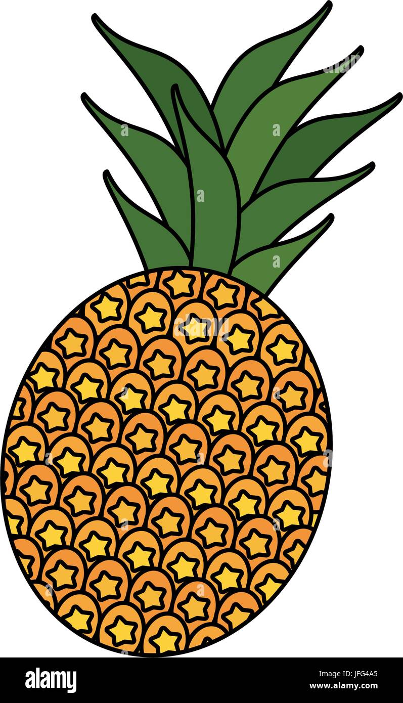 Fresh pineapple fruit Stock Vector Image & Art - Alamy