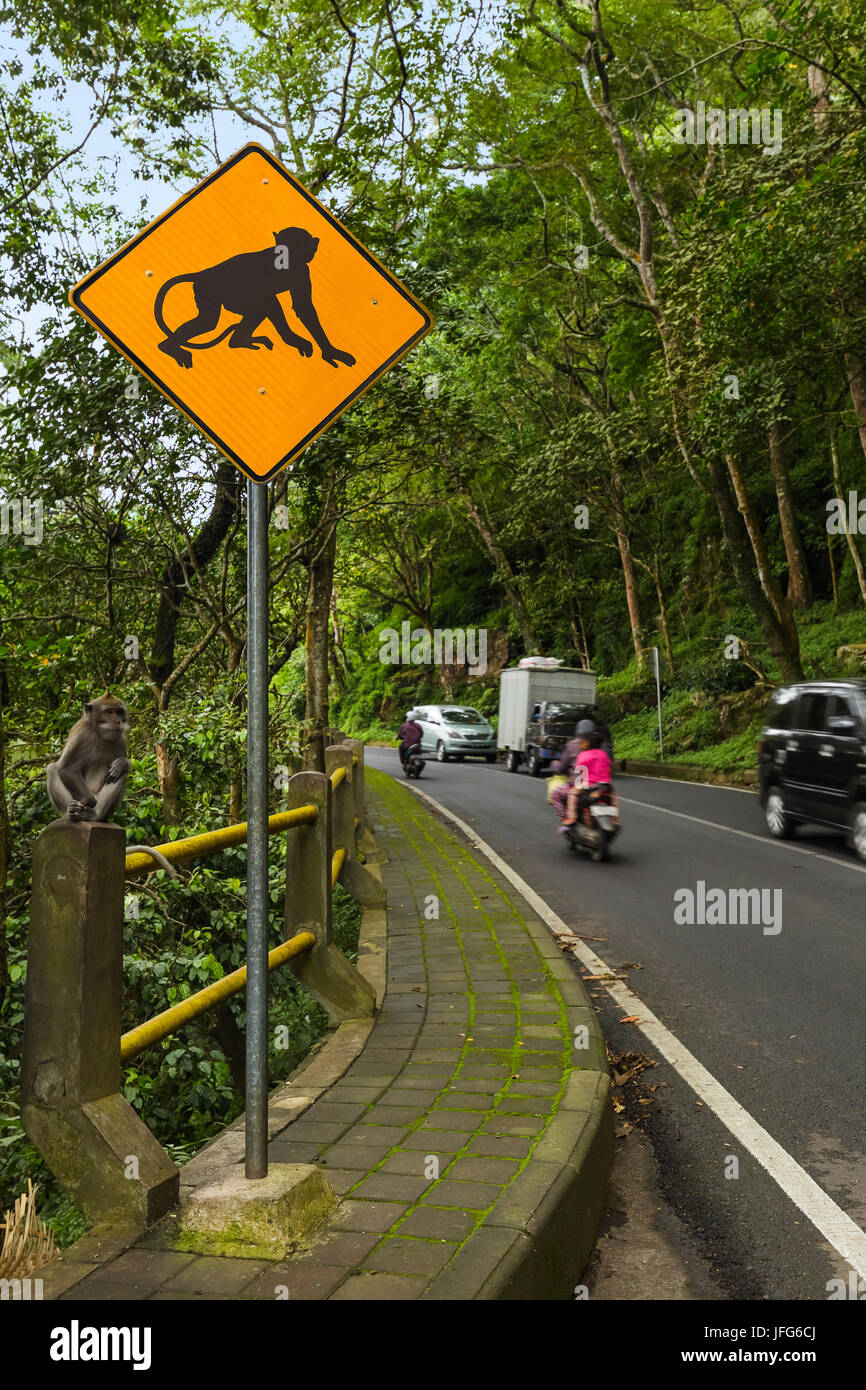 Monkey traffic sign - Indonesia Bali Stock Photo