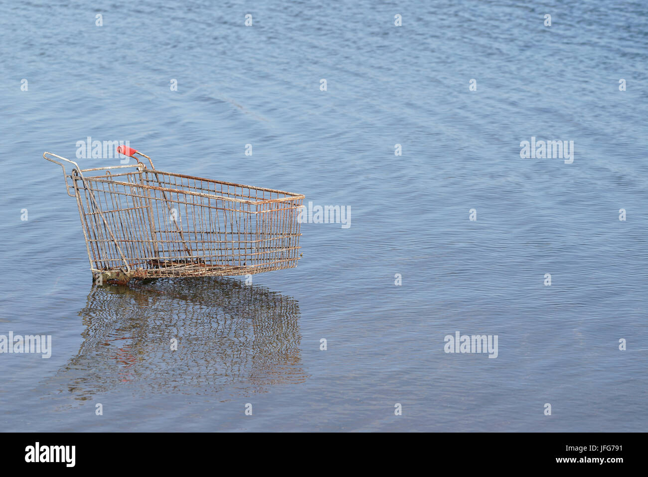 Shopping cart in a lake near Magdeburg Stock Photo