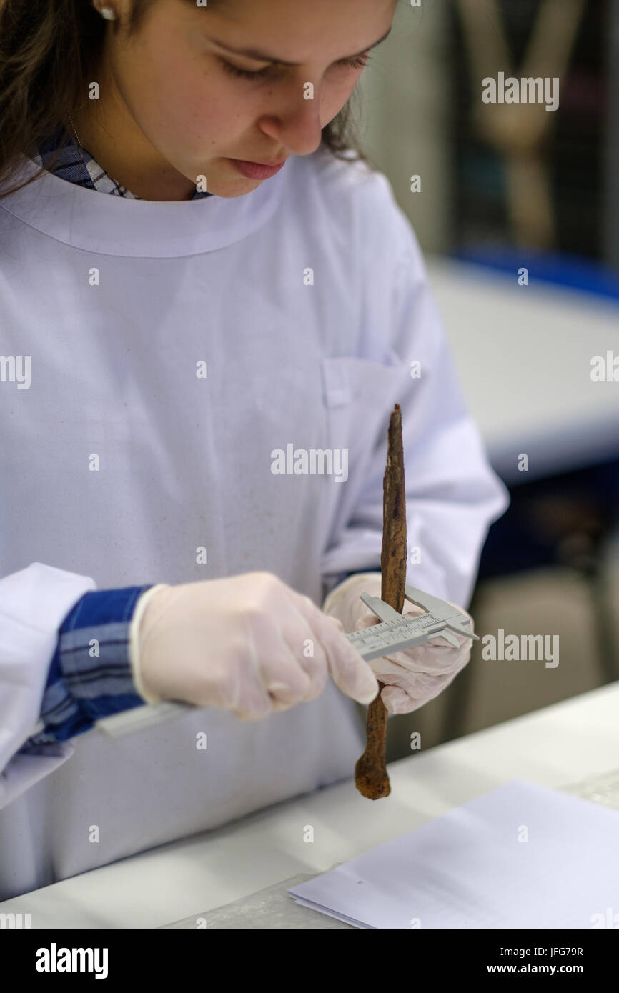 Forensic anthropologist working on an ancient skeleton Stock Photo