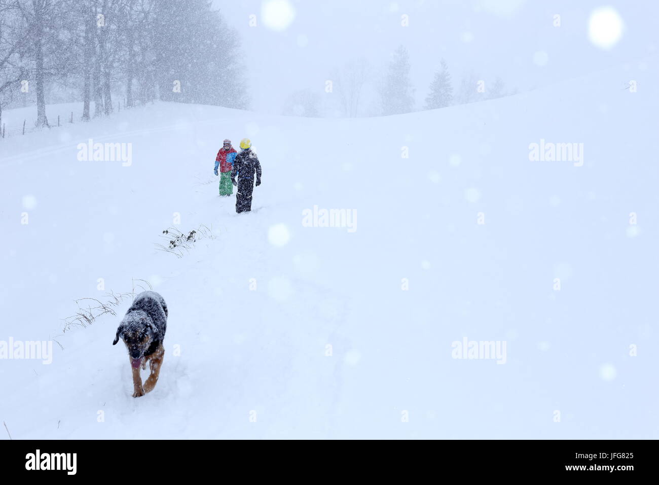 children with dog are hiking in snow Stock Photo