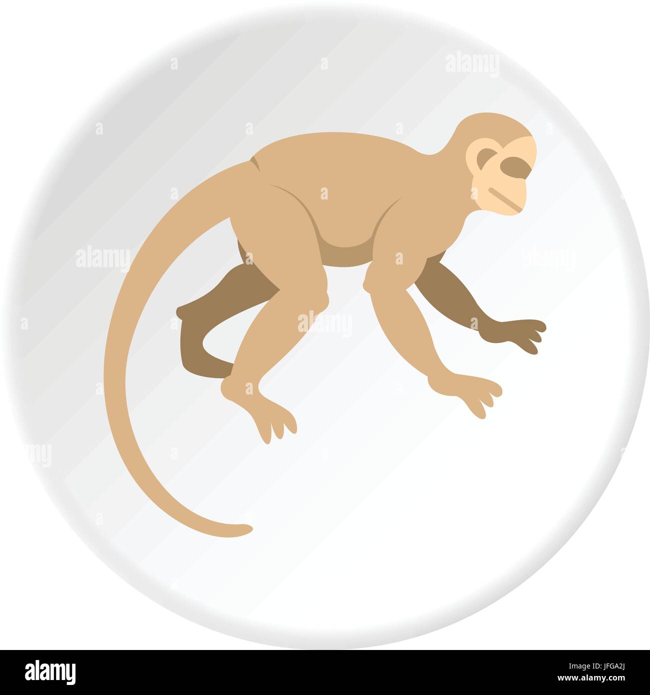 White capuchin icon circle Stock Vector Image & Art - Alamy