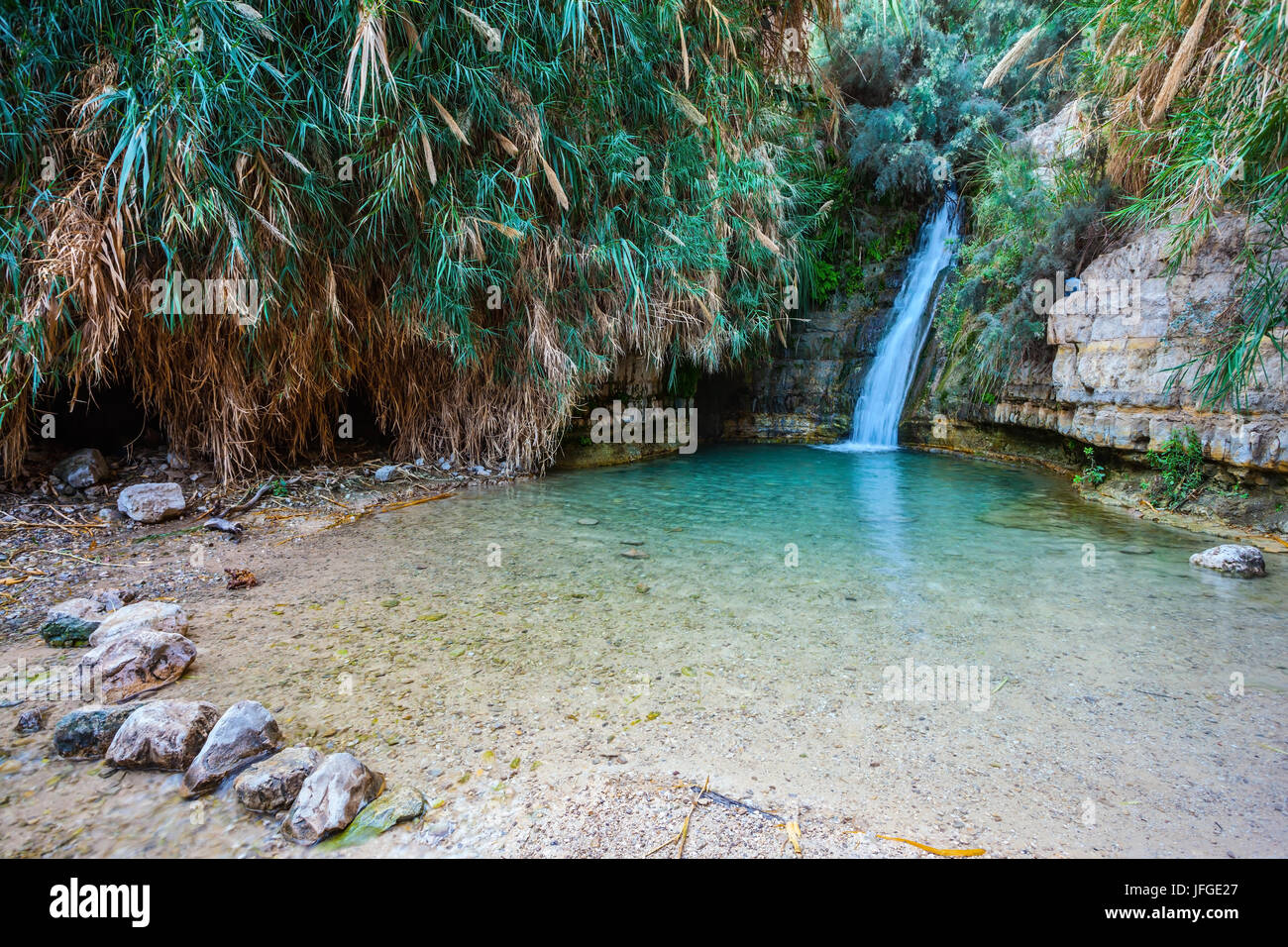 The national park Ein Gedi, Israel Stock Photo