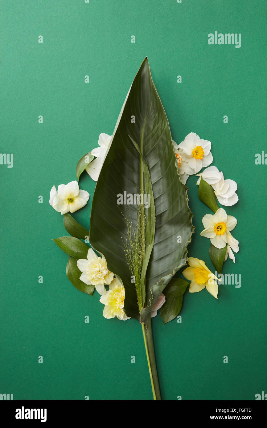 Flowers with green leaf hi-res stock photography and images - Alamy