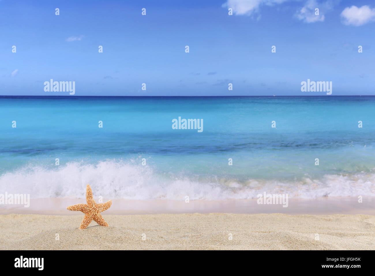 Strand Szene Hintergrund im Sommer, Urlaub mit Seestern, Meer und Textfreiraum Stock Photo