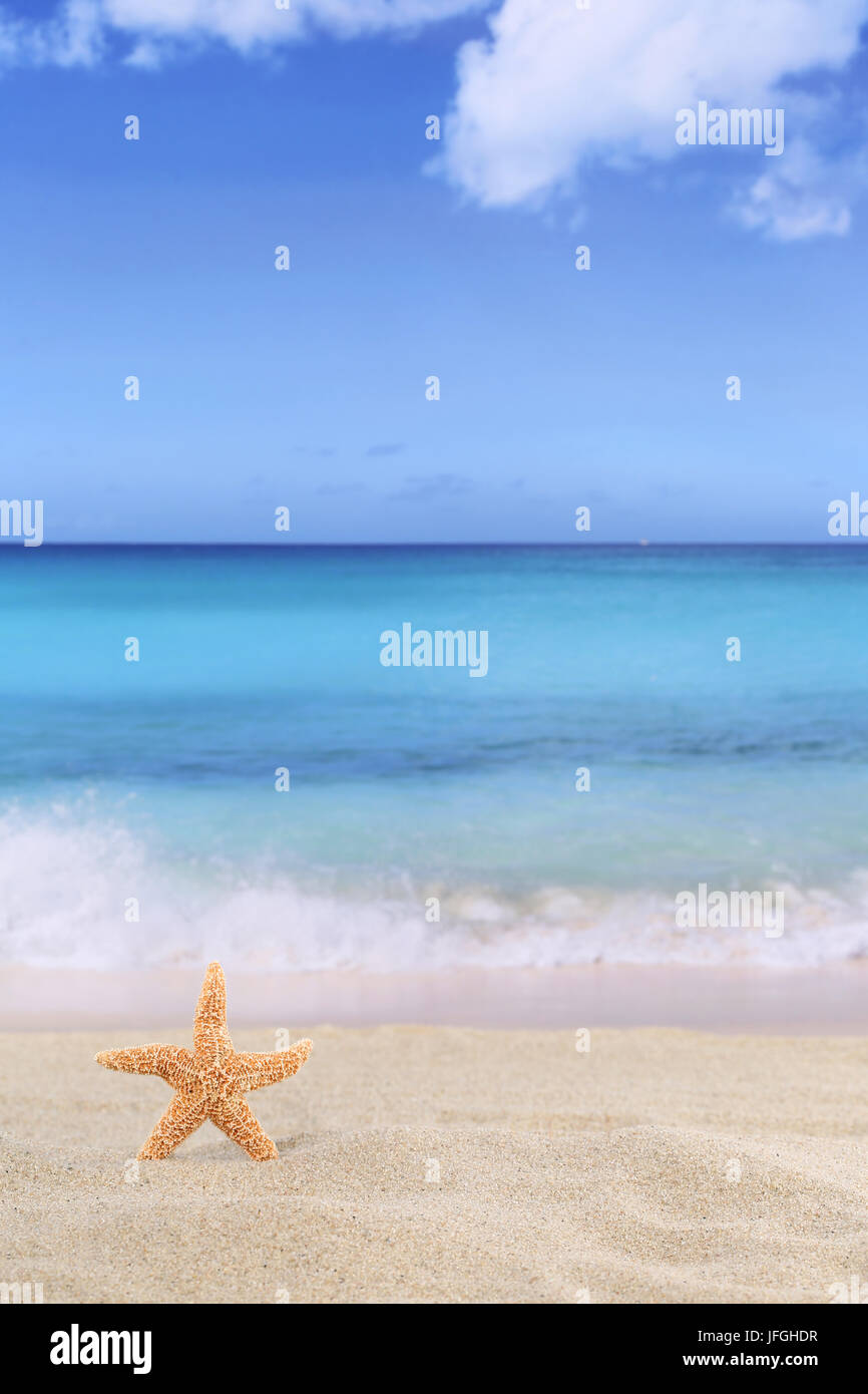 Strand Szene Hintergrund im Sommer, Urlaub mit Seestern, Meer Stock Photo