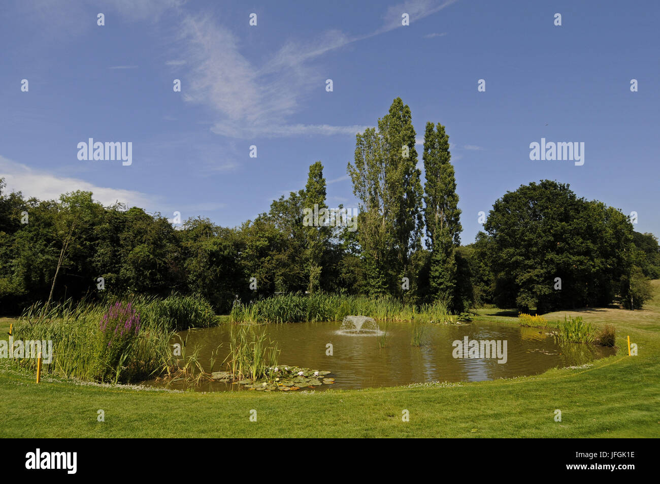 View over Pond with wild flowers on the 18th Hole, East Course, Sundridge Park Golf Club, Bromley, Kent, England Stock Photo