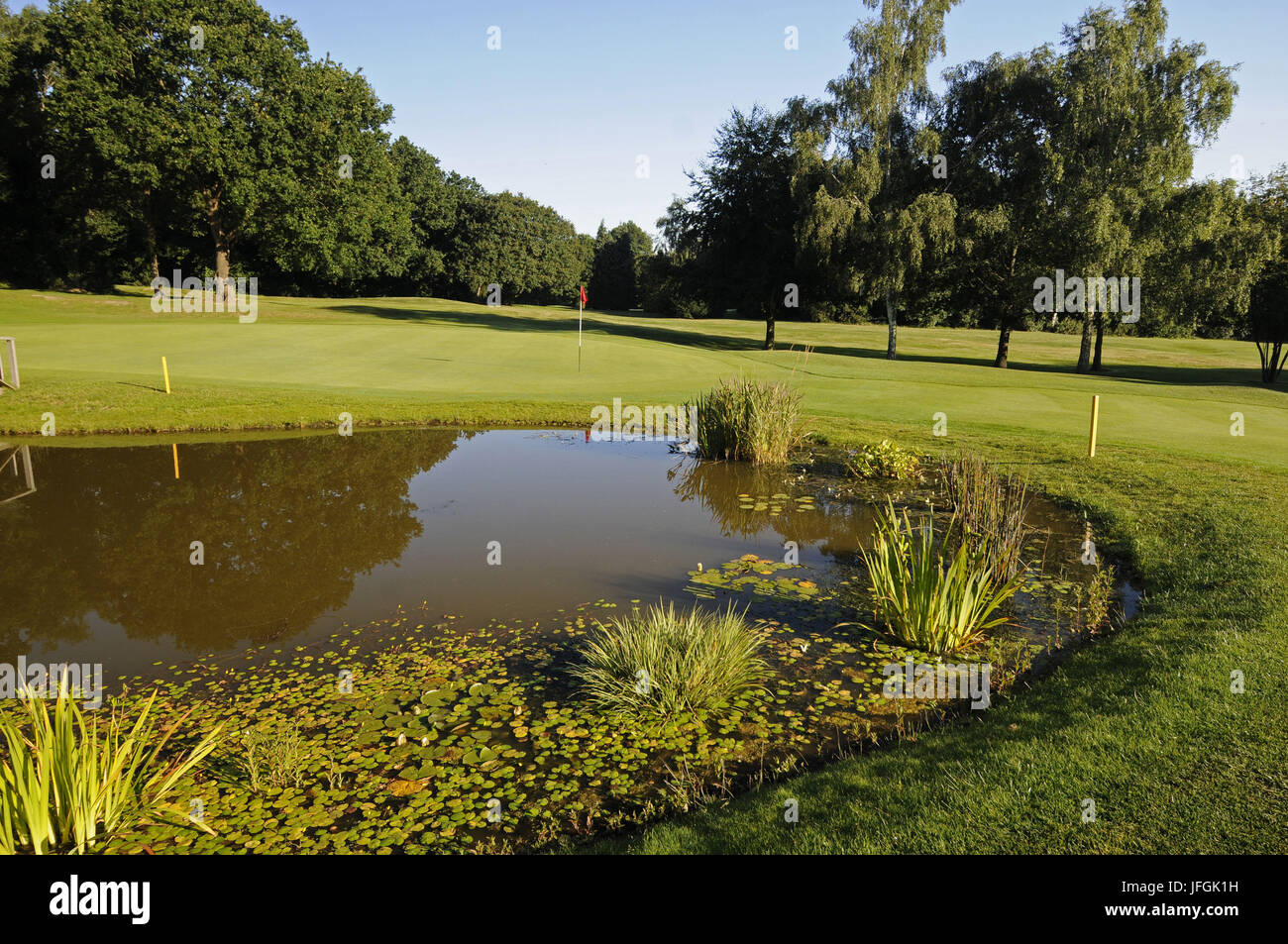 View over Pond to 6th Green, East Course, Sundridge Park Golf Club, Bromley, Kent, England Stock Photo