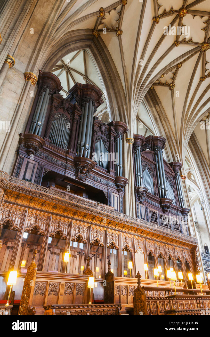 England Somerset Bristol Bristol Cathedral Cathedral Organ Stock England Somerset Bristol Bristol Cathedral Cathedral Organ Stock