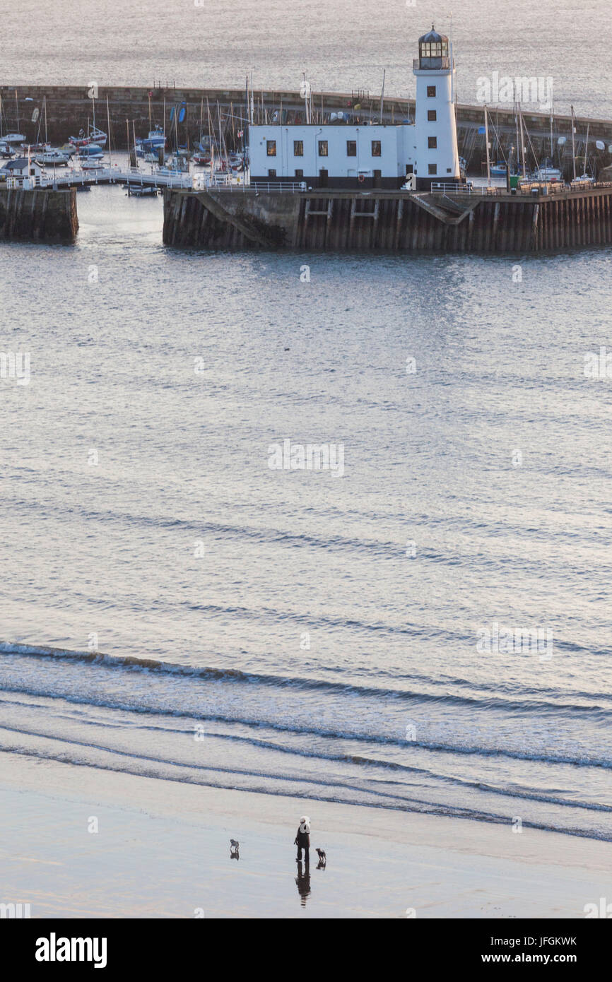 England, Yorkshire, Scarborough, Dog Walker on Scarborough Beach at