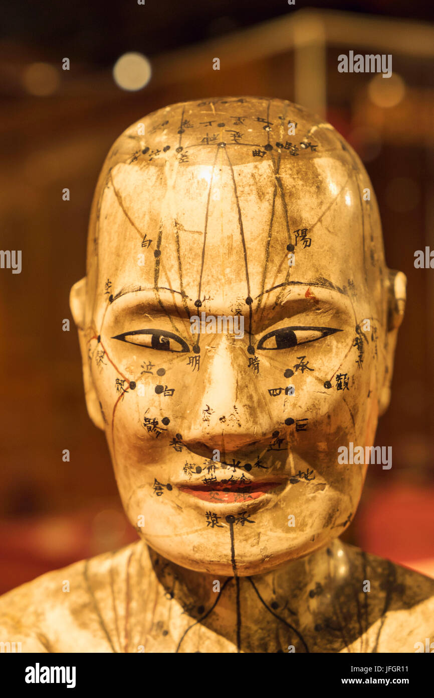 England, London, The Wellcome Collection, Exhibit of Historical Paper-mache Japanese Acupuncture Figure Stock Photo