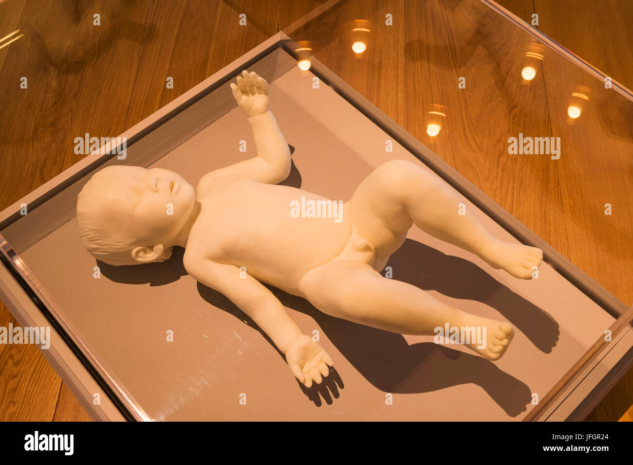 England, London, The Wellcome Collection, The Reading Room, Wax Figure of a Baby titled 'Free' by Marc Quinn 2005 Stock Photo