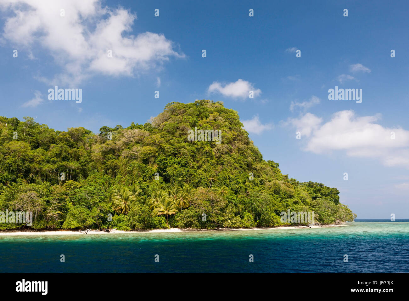 Tropical island, Florida Islands, the Solomon Islands Stock Photo