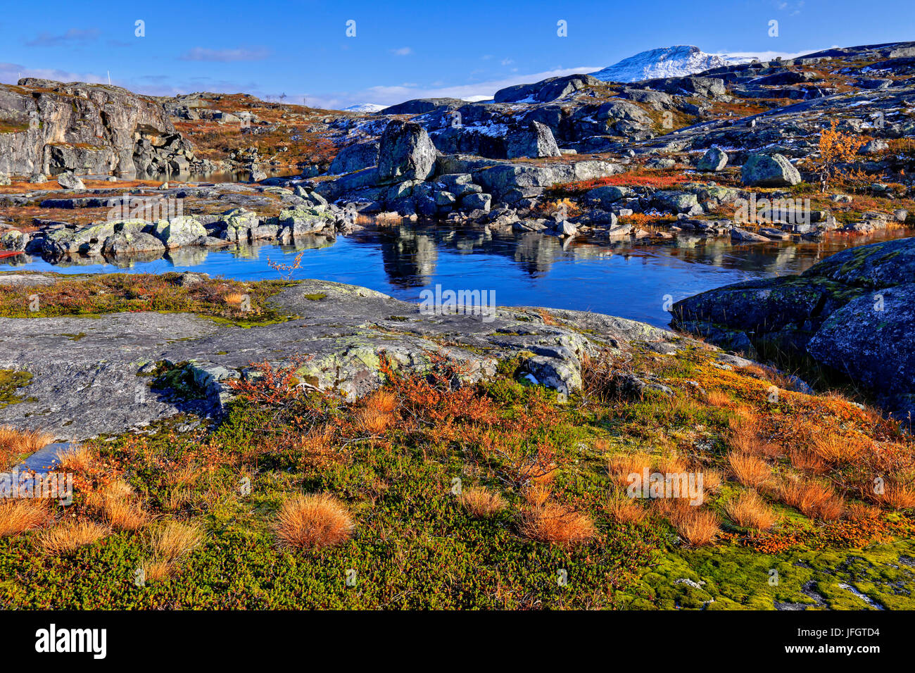 Europe, Norway, Nordnorwegen, province northern country, Bjornfjell, Fjell, mountain landscape Stock Photo