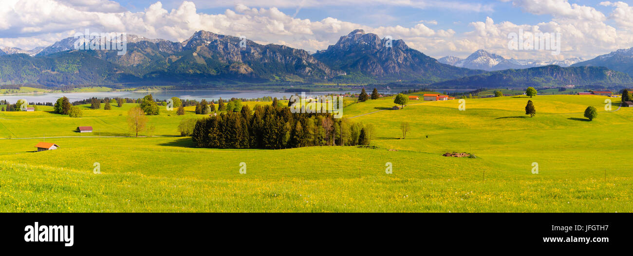 Panoramic scenery in the Allgäu with alps and Forggensee Stock Photo ...