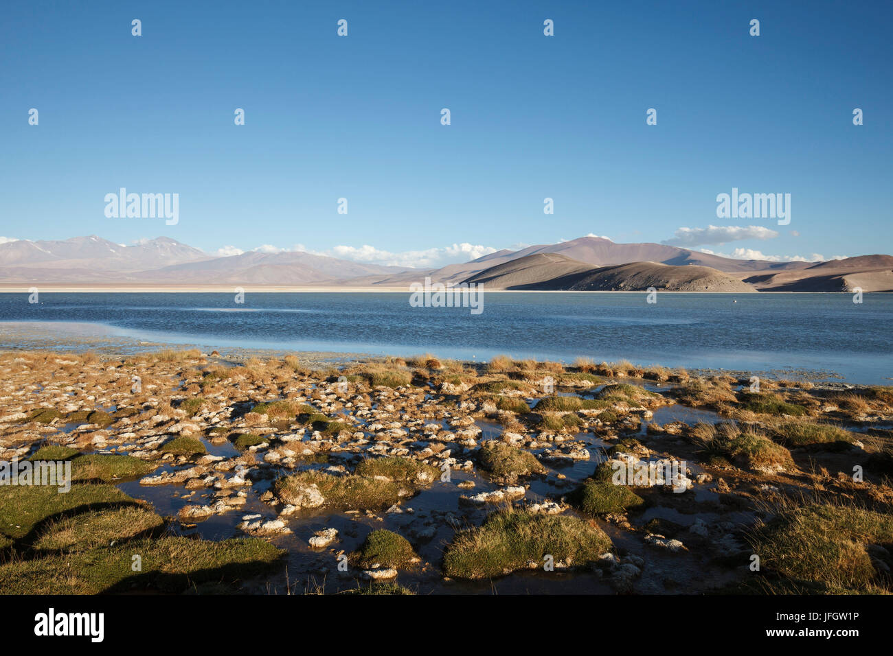 Chile, national park Nevado Tres Cruzes, Laguna Santa Rose Stock Photo