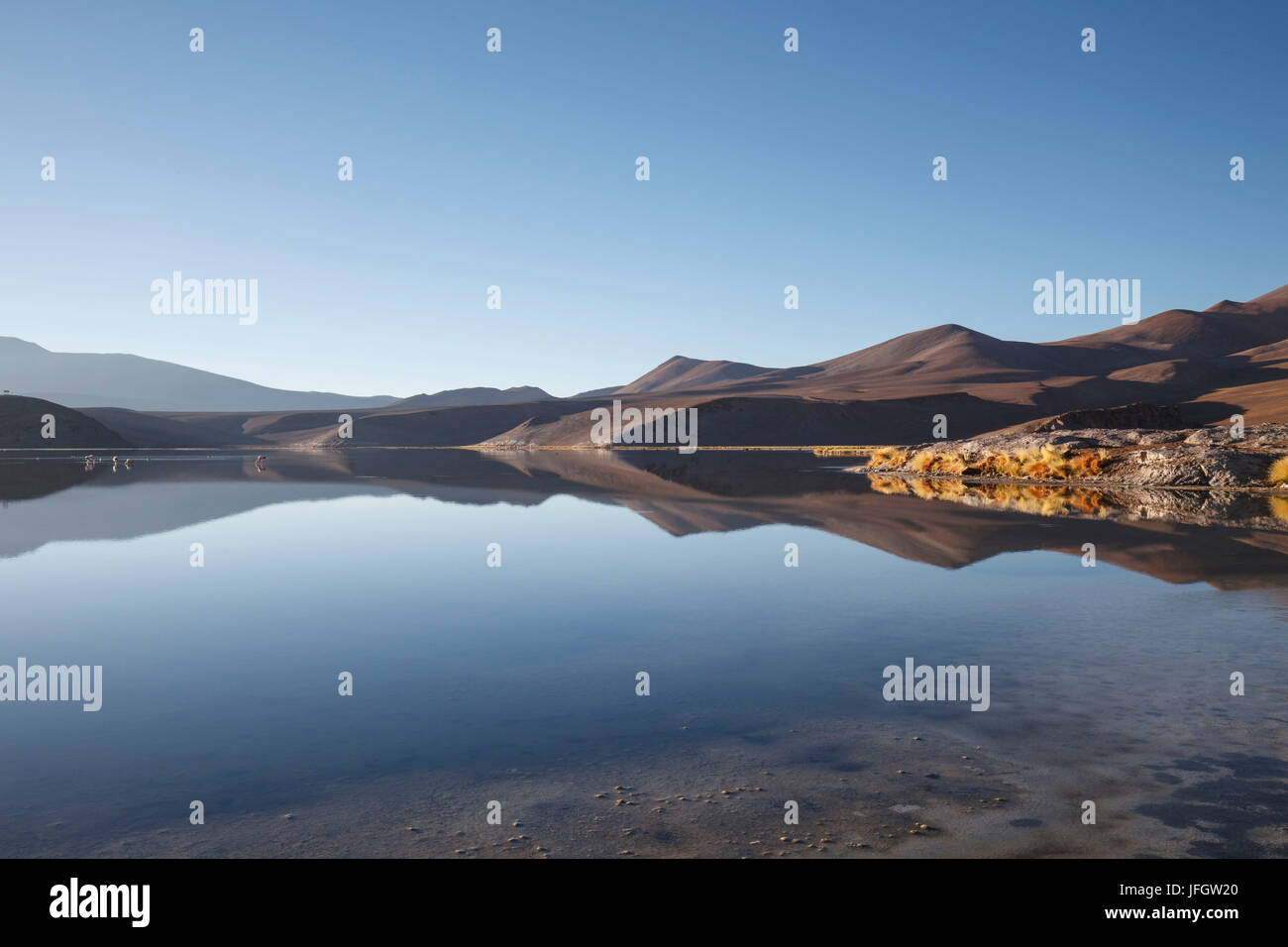 Chile, national park Nevado Tres Cruzes, Laguna Santa Rose, water mirroring, mountains Stock Photo