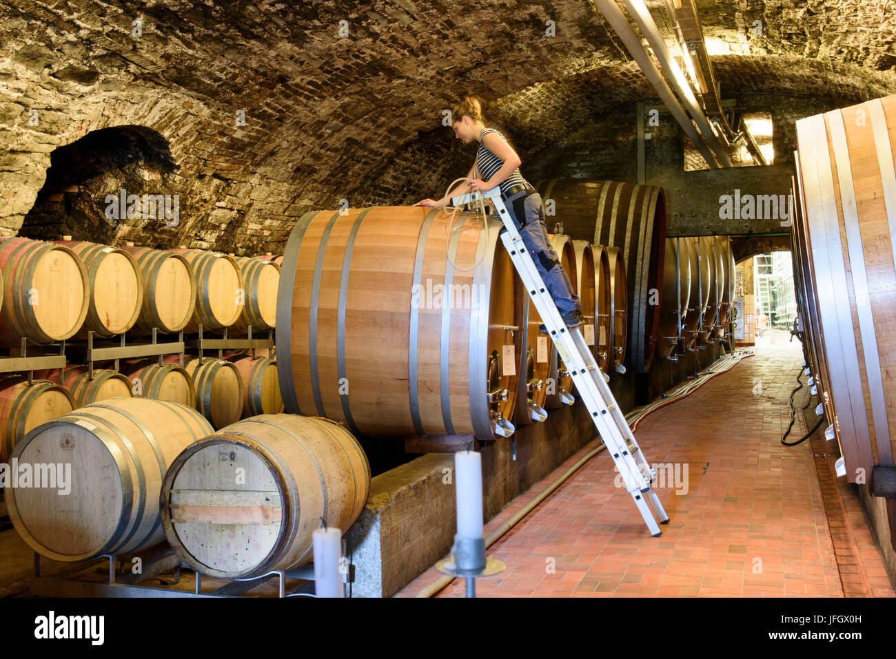 Wine cellar in the state vineyard Meersburg, Meersburg, Lake of Constance, Baden-Wurttemberg, Germany Stock Photo