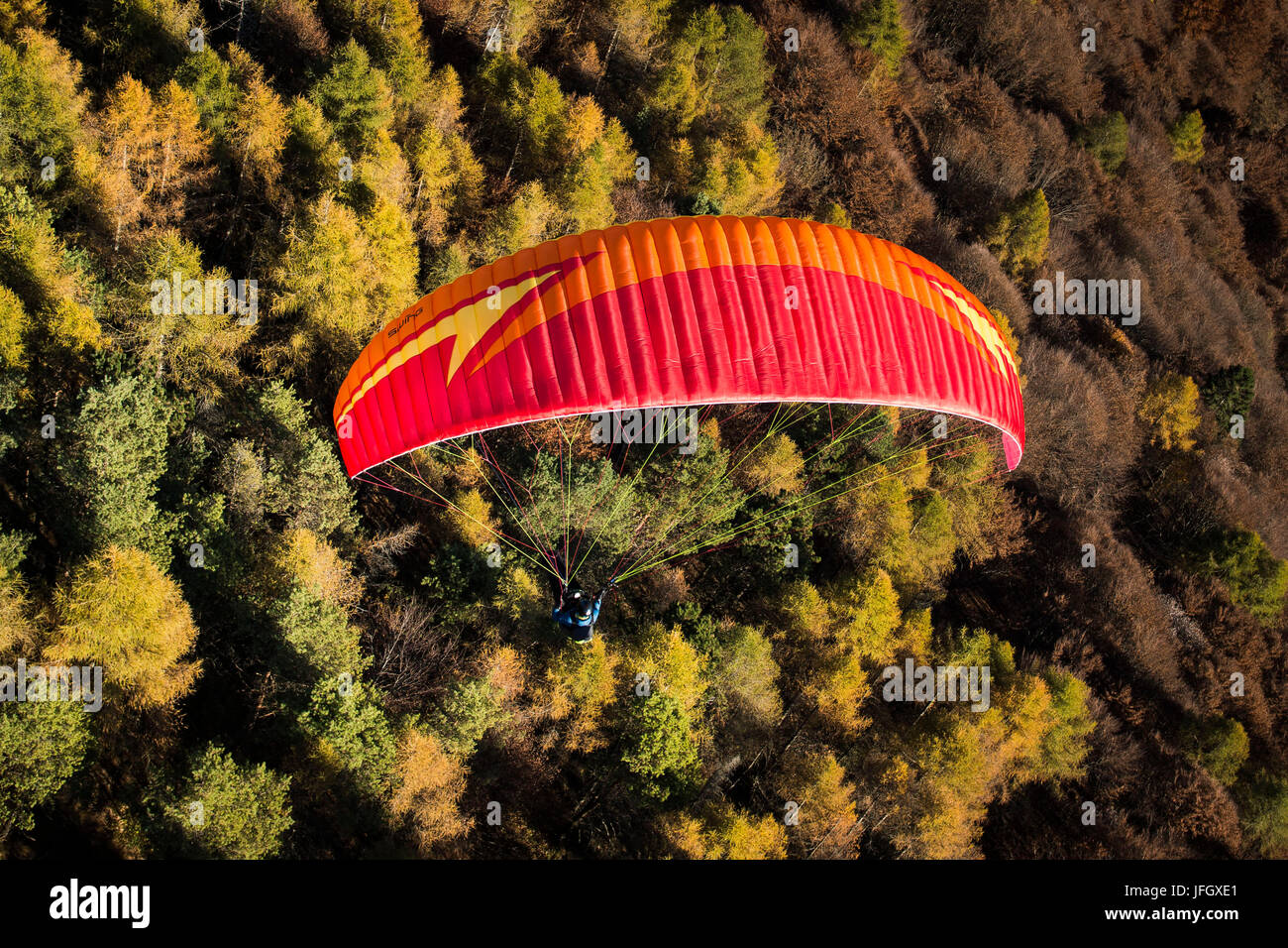 Paragliding in Monte Dolada, autumn, aerial shots, autumn wood, Ventien, Italy Stock Photo