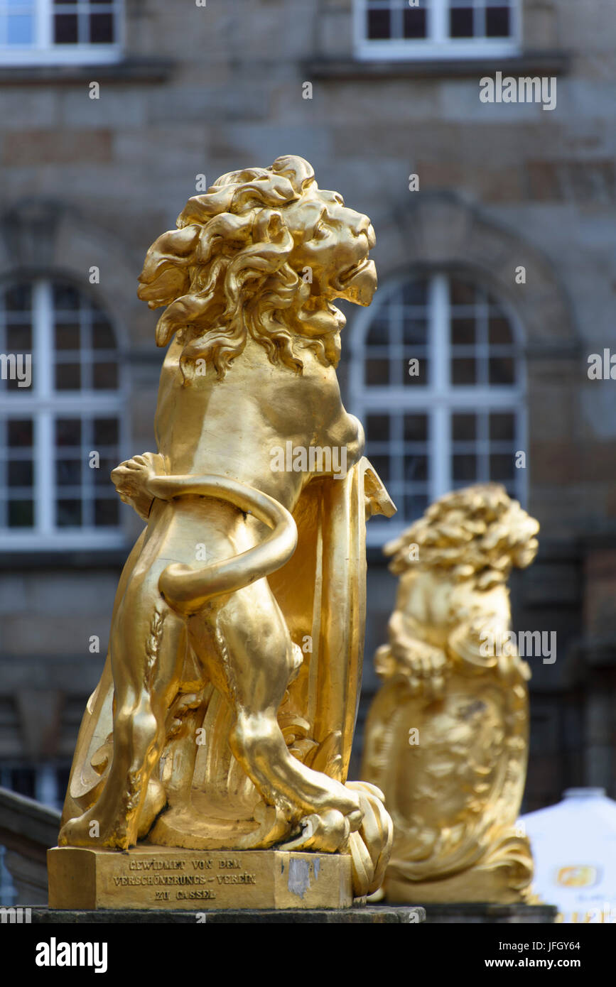 Golden lion, city hall, Old Town, Kassel, Hessen, Germany Stock Photo