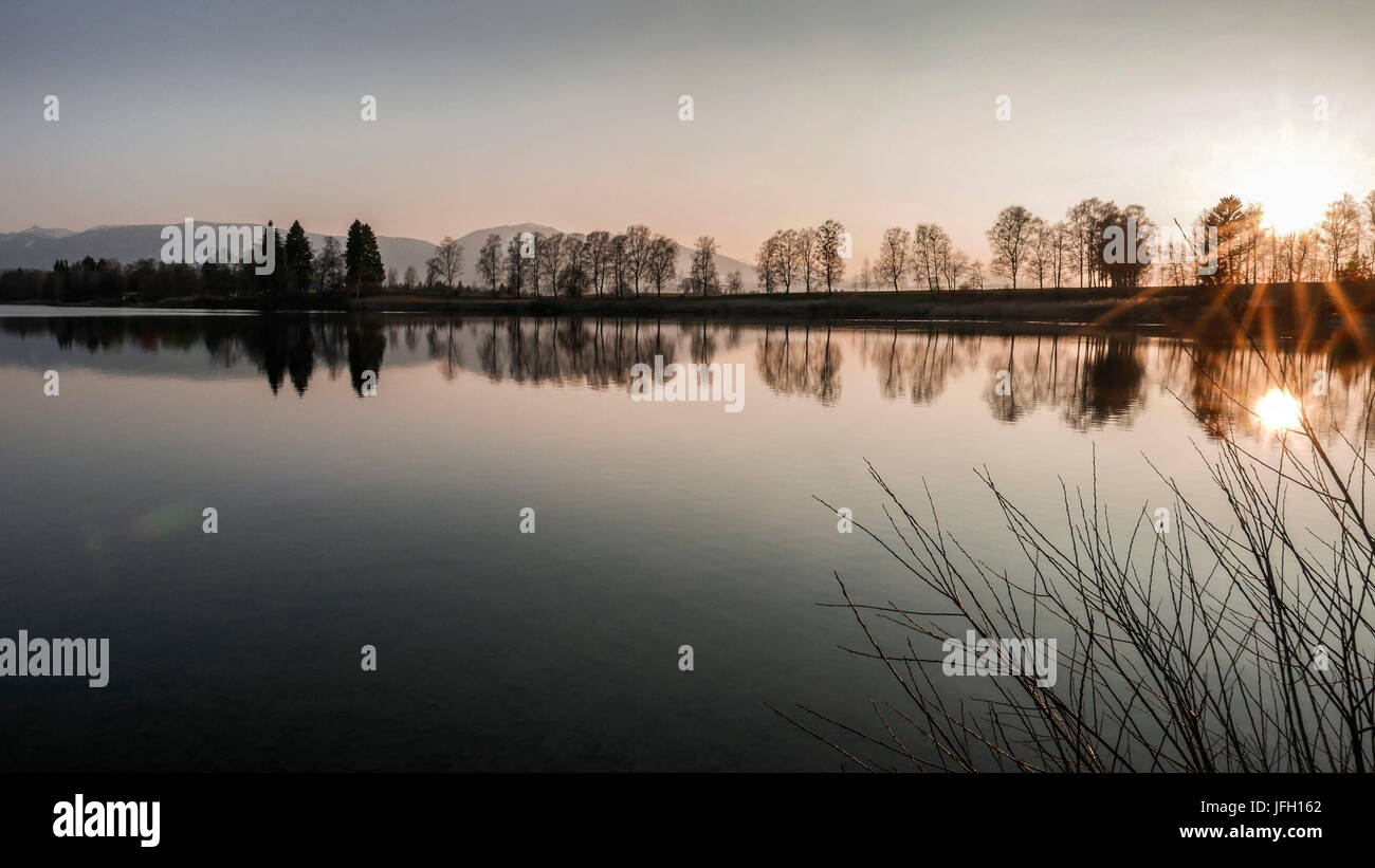 young spring in the Staffelsee with tree Staffel in the back light, Uffing, Upper Bavaria Stock Photo